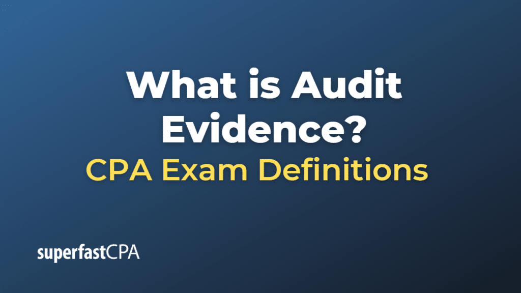 Audit Evidence