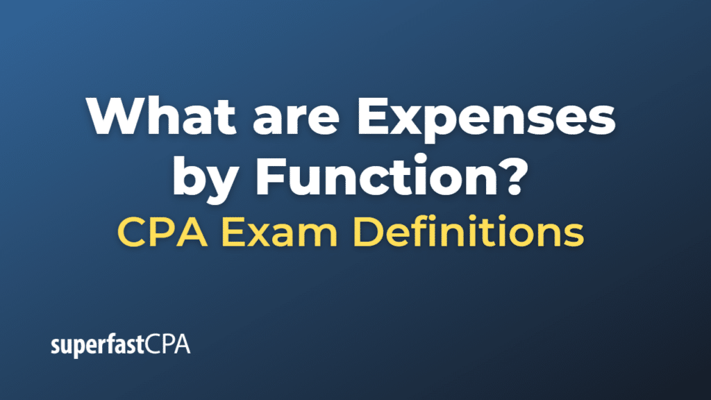 Expenses by Function