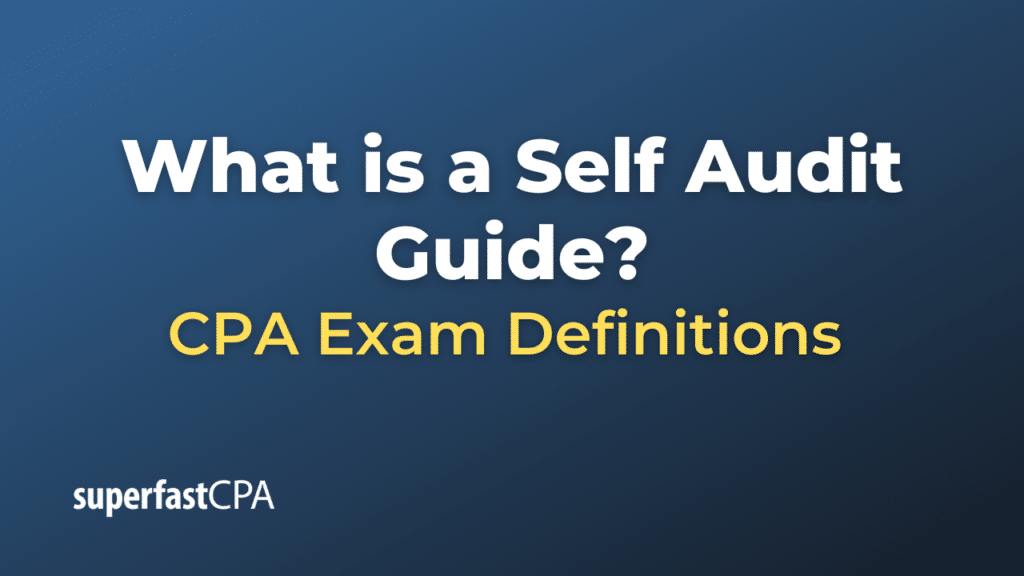 Self Audit Guide