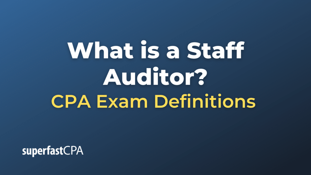 Staff Auditor