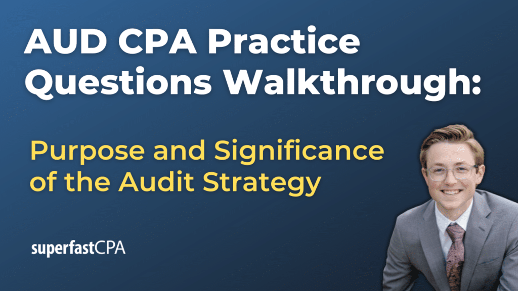 Purpose and Significance of the Audit Strategy