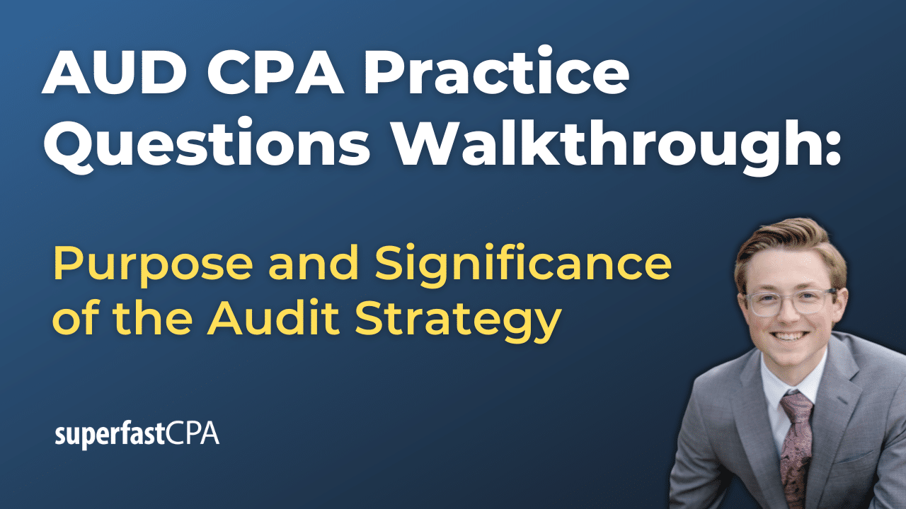 Purpose and Significance of the Audit Strategy