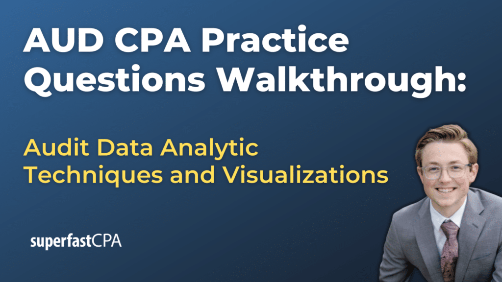 Audit Data Analytic Techniques and Visualizations